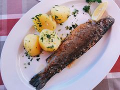 -布劳伽斯特豪夫哈尔施塔特宾馆