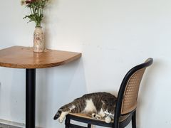 -LOOKA COFFEE(大鹏所城店)