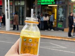 -德禄酸奶(莫家街店)
