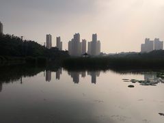 -前关湿地公园