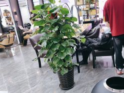 -藤野造型烫染·漂发