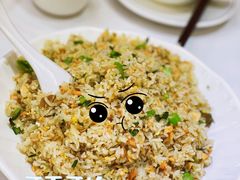 三文鱼肉碎炒饭-新享乐海鲜(翠华路店)