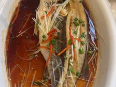 -巨鼎谭家菜(普照寺路店)