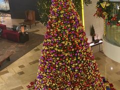 -皇朝尊会(龙之梦大酒店)