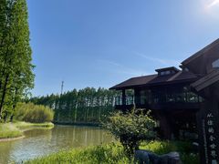 -黄海国家森林公园