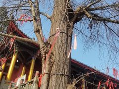 -金堂县云顶石城风景区