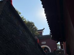 -武汉长春观