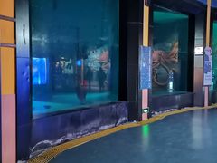 -海合安青岛极地海洋公园