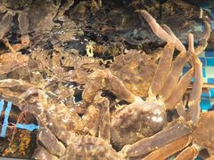 -南海底小海鲜·湘菜(鲁巷吴家湾店)