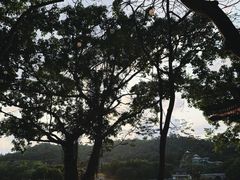 -珠海圆明新园