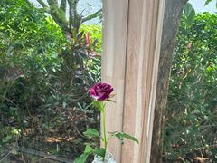 -花房咖啡 FLOWER YIN COFFEE