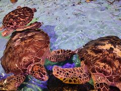 -波塞冬旅游度假区