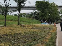 -白鹭湾湿地公园