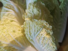 时令蔬菜-采椰郎椰子鸡·脆皮鸡火锅(融创茂店)