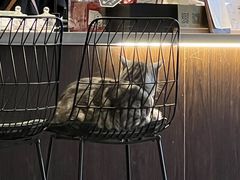 -25#COFFEE(古地石店)