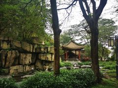 -顺峰山公园