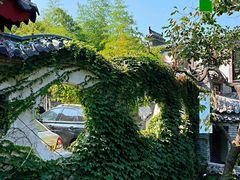 -老张烤羊(王哥庄店)