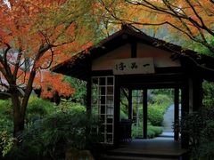 -中国茶叶博物馆(双峰馆区)