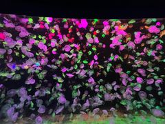 -珠海长隆海洋王国