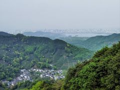 -龙井村