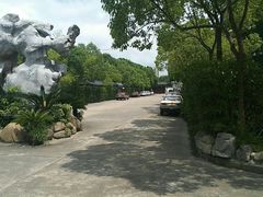 -安飞驰驾校·学车连锁(金高店)