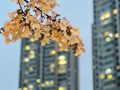 -成都市活水公园
