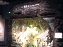 -湖南省地质博物馆