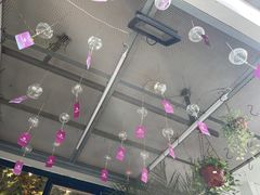 -溪岸路花鸟市场