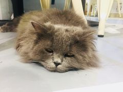 -小时光咖啡馆(开森度假森林店)