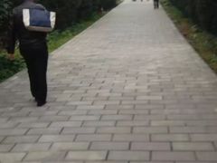 景点-秦始皇帝陵博物院-丽山园