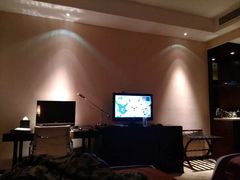 -中家鑫园温泉酒店鑫悦汤泉