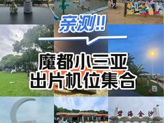 -碧海金沙