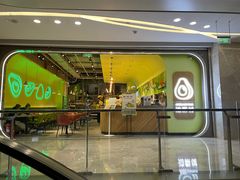 -油梨树AVOCADO TREE(望京店)