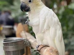 -南宫五洲植物乐园