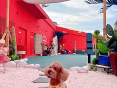 -凯德广场(学府店)