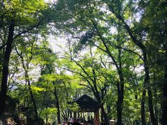 景点-灵岩山风景区