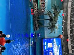 -海合安成都极地海洋公园
