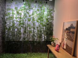 -盘子女人坊古装写真摄影(天津总店)