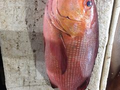 -金巴兰海鲜王