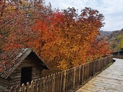 -关门山森林公园
