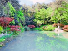 -铁山坪森林公园