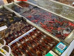 水产区-南沙十九涌渔人码头-南门