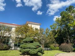 -棕榈岛海鲜自助餐厅(虹桥迎宾馆店)