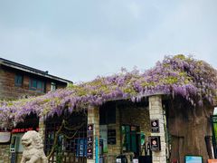 -白马涧龙池景区