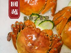 -圆苑(金茂店)