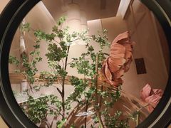 -觅唐MITONG(鸟巢店)