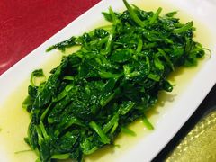 炒豌豆尖-易老妈蹄花.特色川菜(人民公园总店)