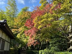 -常寂光寺