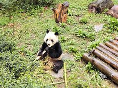 -黔灵山公园