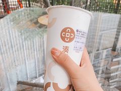 大红袍珍珠奶茶-湊湊火锅·茶憩(打浦桥日月光店)
